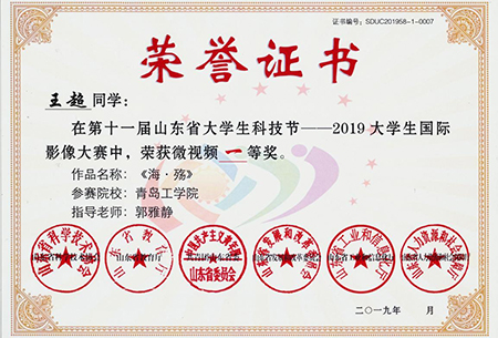 青工学子在第十一届大学生国际影像大赛中喜获佳绩 青工学子在第十一届大学生国际影像大赛中喜获佳绩